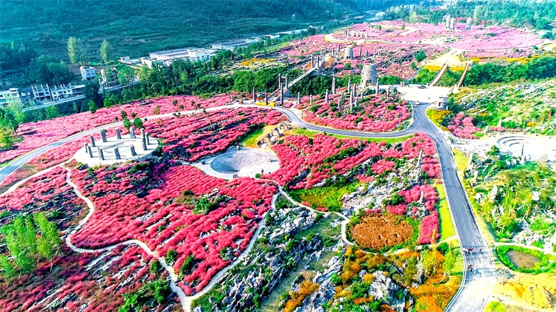 DJI_0421.MOV.00_00_44_27.Still001.jpg DJI_0421.MOV.00_00_44_27.Still001.jpg