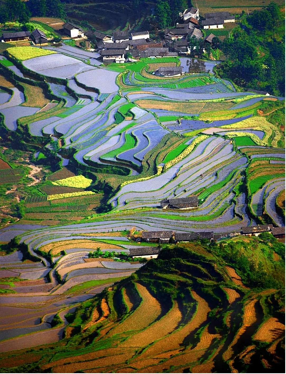 图片2.jpg 图片2.jpg