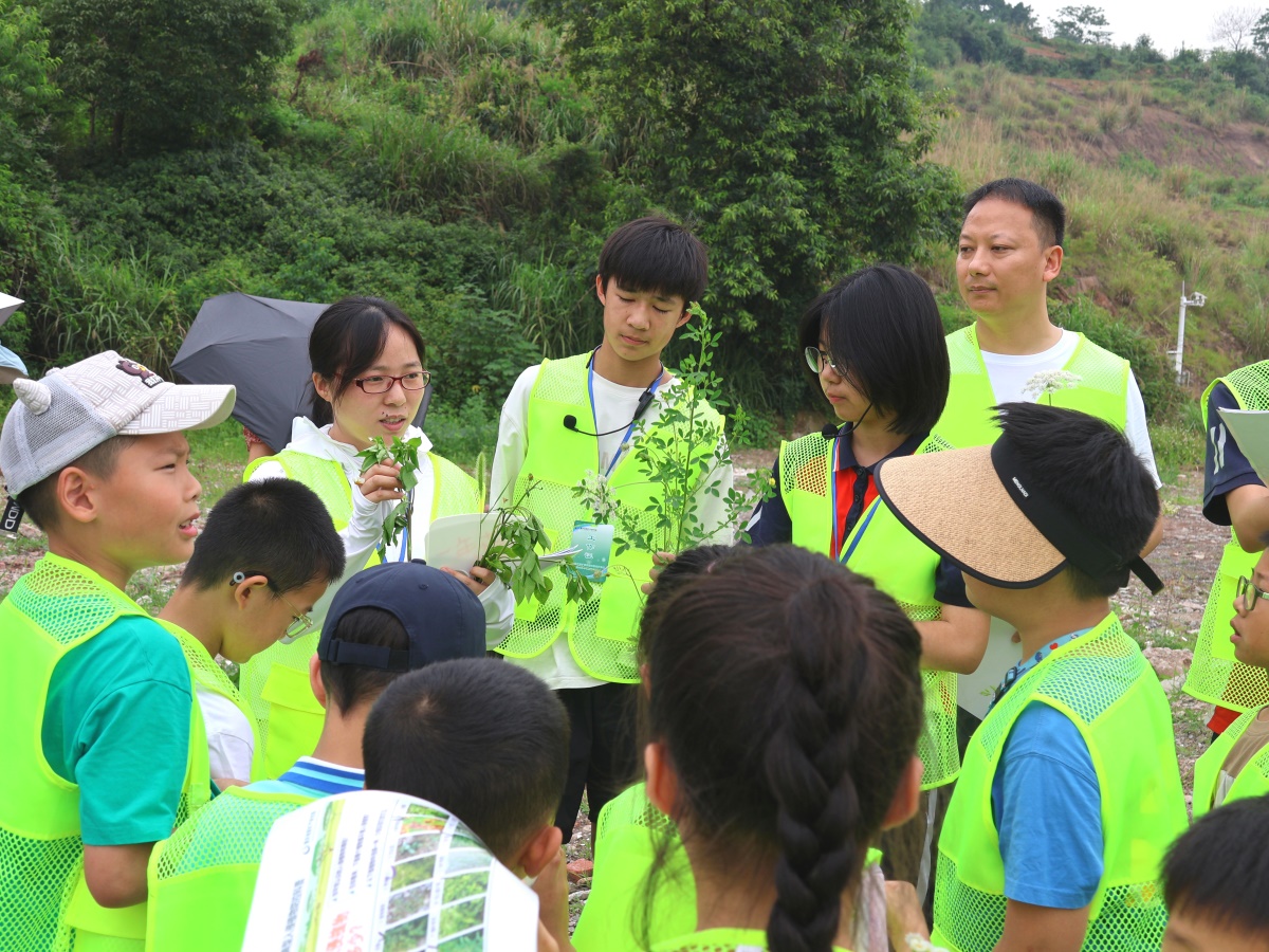 IMG_1928-照片4(1).jpg IMG_1928-照片4(1).jpg