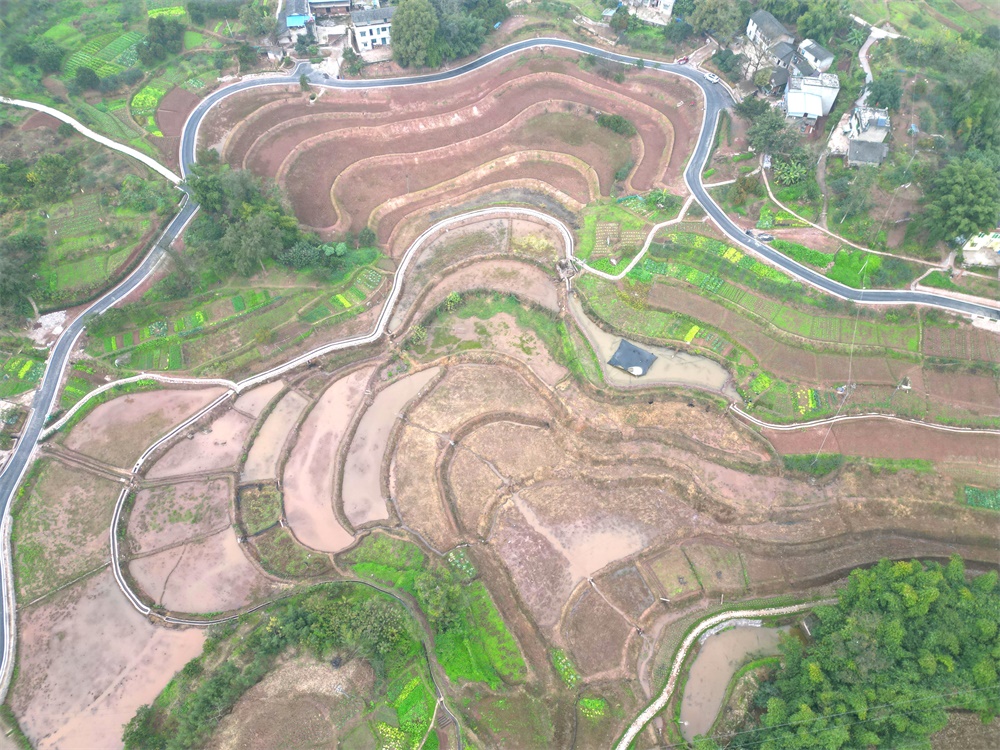 图片1.jpg 图片1.jpg