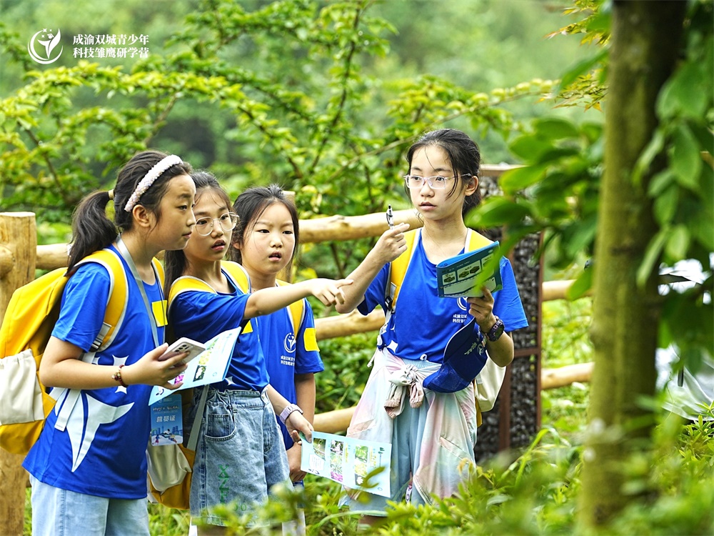 观察植物.jpg 观察植物.jpg