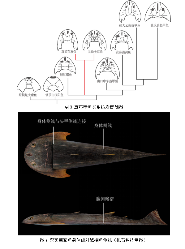 912--2.png 912--2.png