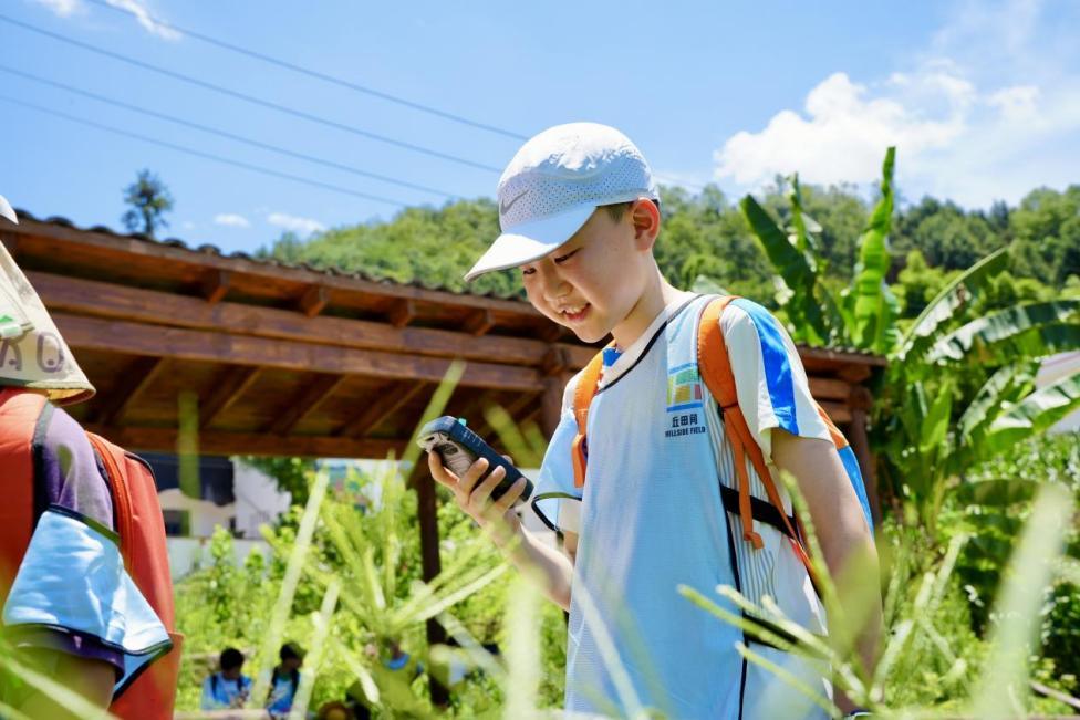 图片3.png 图片3.png